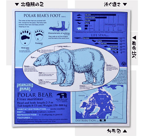 動物 生物 サイエンスハンカチ ホッキョクグマ ホワイト / カロラータ