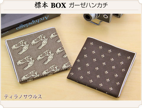 動物 生物 ガーゼハンカチ 標本BOX ティラノサウルス / カロラータ