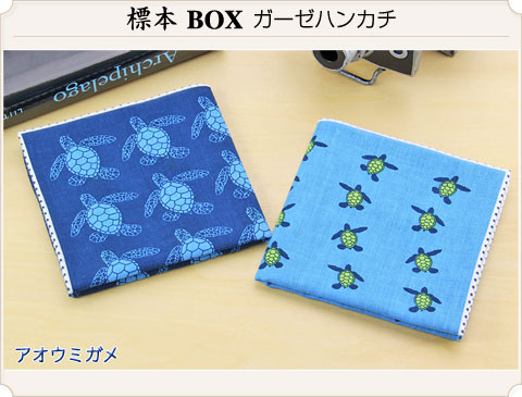 動物 生物 ガーゼハンカチ 標本BOX アオウミガメ / カロラータ