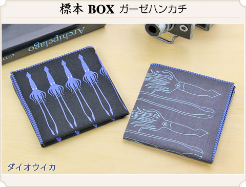 動物 生物 ガーゼハンカチ 標本BOX ダイオウイカ / カロラータ