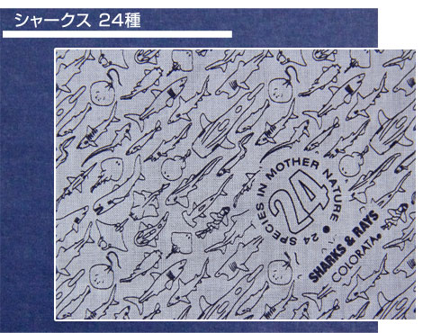 魚の敵　様　12本セット　ご検討中専用です。 魚の敵 様 12本セット ご検討中専用です。 魚の敵 様 12本