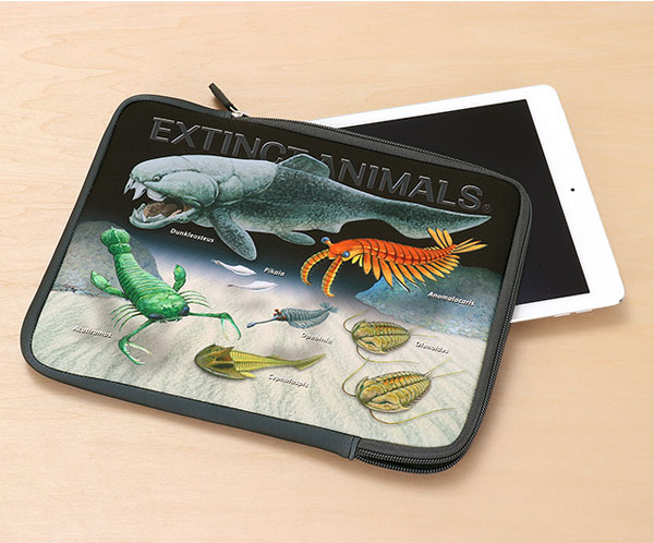 動物 生物 タブレットケース 古生代の生物 / カロラータ オンライン
