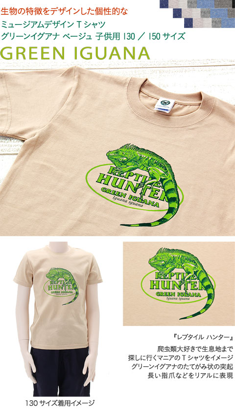 動物 生物 ミュージアムデザイン Tシャツ グリーンイグアナ ベージュ 子供サイズ 半袖 / カロラータ オンラインショップ