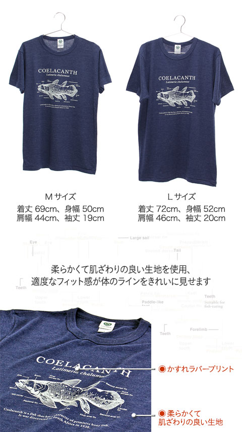 動物 生物 サイエンスデザイン Tシャツ シーラカンス ネイビー M／Lサイズ 半袖 カロラータ オンラインショップ
