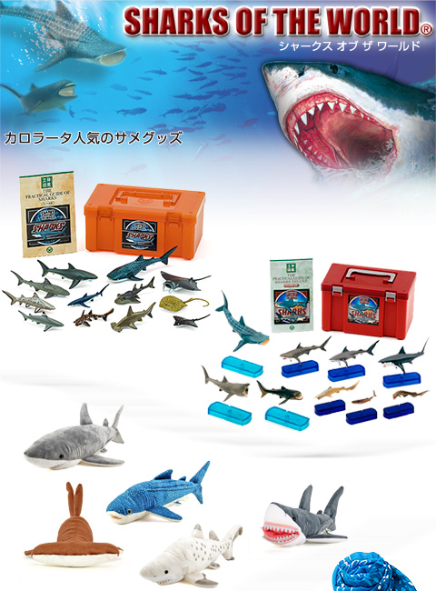 サメグッズ│動物 カロラータ オンラインショップ
