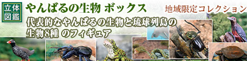 フィギュア│動物 カロラータ オンラインショップ