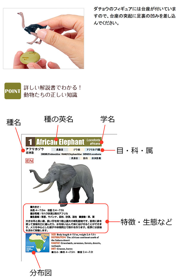 （新品・未開封）カロラータ動物地理区I〜Ⅳ、世界のクマ 新品・未開封）カロラータ動物地理区I〜Ⅳ、世界のクマ 立体図鑑