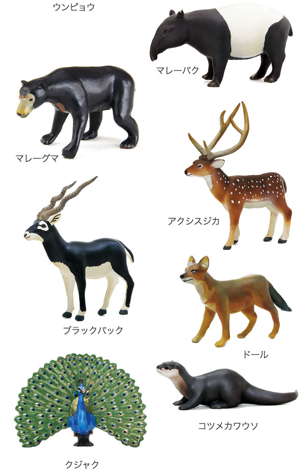動物 生物 立体図鑑 動物地理区Ⅱ 東洋区ボックス / カロラータ