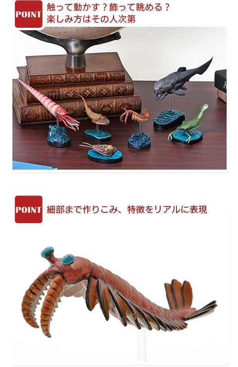 【廃盤】新品　コレクタ　古代生物　エラスモテリウム　正規品 Amazon.co.jp: Collecta 88858 エラスモテリウム DX 1/20 : おもちゃ