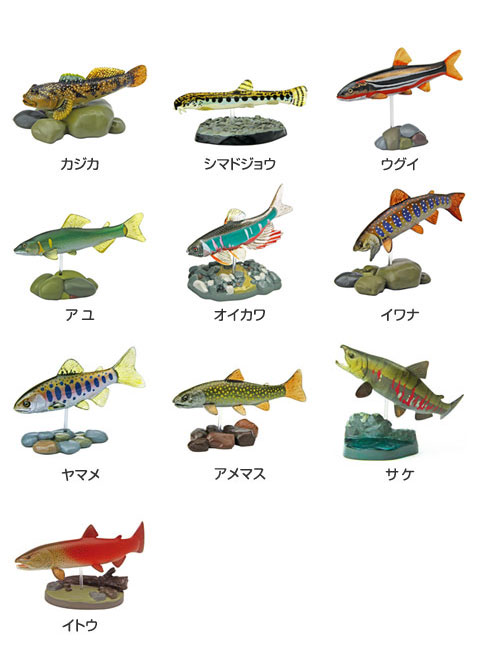 カロラータ 日本の淡水魚 フィギュア ( 立体図鑑 ) 魚 リアル フィギュアボックス [解説書/スタンド付き] 食品衛生法クリア 10種 wgteh8f