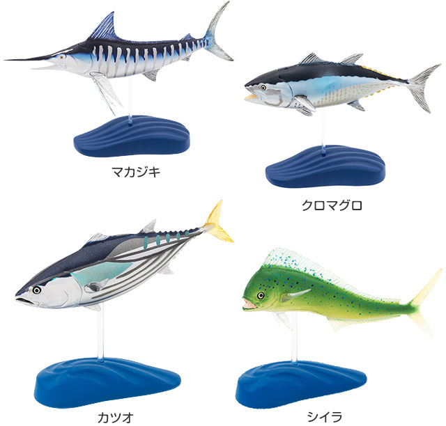 動物 生物 立体図鑑 ソルトウォーターフィッシュ デラックスボックス