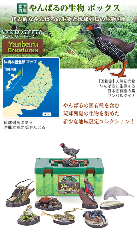 動物 生物 立体図鑑 やんばるの生物 ボックス / カロラータ オンライン