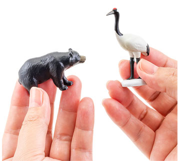 立体図鑑 日本の動物ボックス│動物 カロラータ オンラインショップ 立体図鑑 日本の動物ボックス│動物 カロラータ オンラインショップ