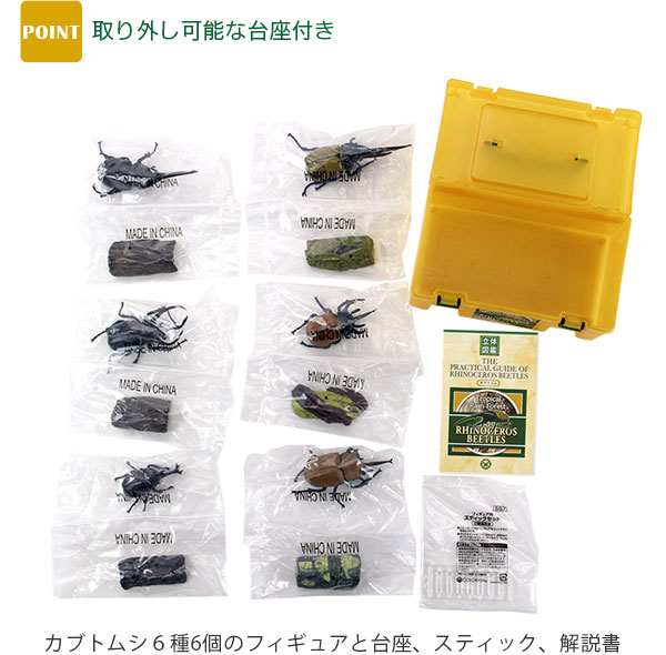 動物 生物 立体図鑑 ライナセラスビートルボックス / カロラータ