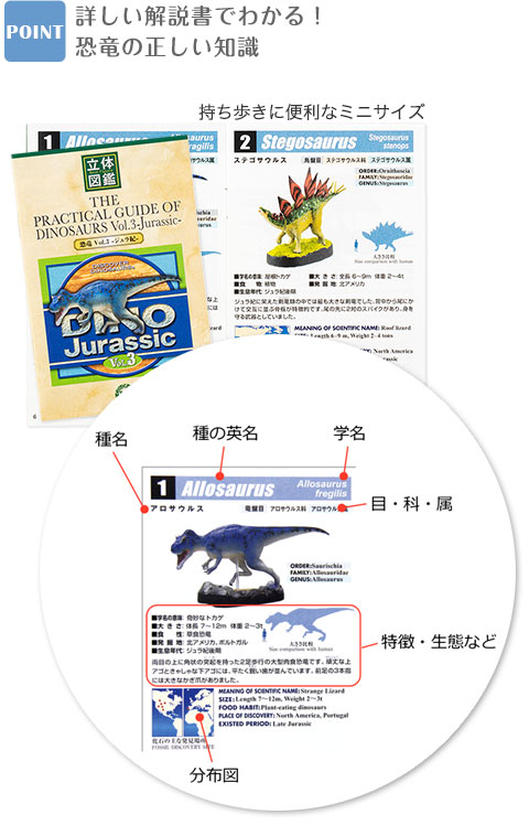 動物 生物 立体図鑑 ディノボックスVOL．3 / カロラータ