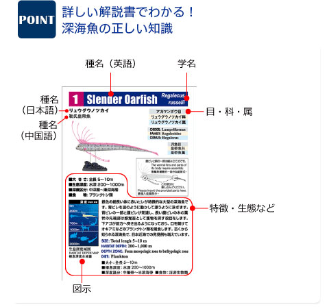 【eat】深海魚(生成り)×黒　入園入学グッズ７点 楽天市場】深海魚 グッズの通販