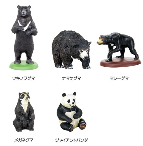 動物 生物 立体図鑑 ワイルドベアーボックス / カロラータ