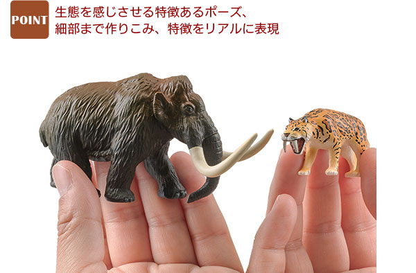 動物 生物 立体図鑑 新生代の絶滅動物ボックス / カロラータ