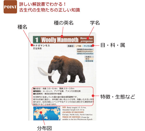 動物 生物 立体図鑑 新生代の絶滅動物ボックス / カロラータ 動物 生物 立体図鑑 新生代の絶滅動物ボックス / カロラータ