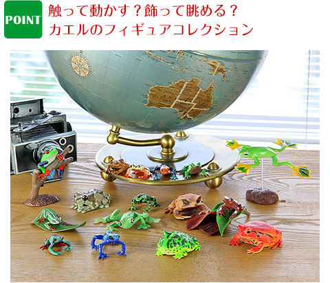 動物 生物 立体図鑑 フロッグボックス / カロラータ オンライン