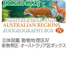 フィギュア│動物 カロラータ オンラインショップ