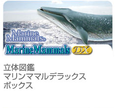 フィギュア│動物 カロラータ オンラインショップ