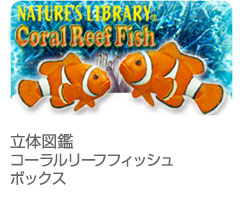 フィギュア│動物 カロラータ オンラインショップ
