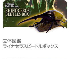 フィギュア│動物 カロラータ オンラインショップ