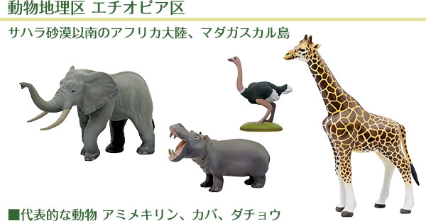 立体図鑑 動物地理区I エチオピア区ボックス│動物 カロラータ