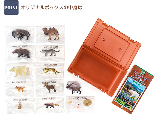 図鑑 動物 大百科 料理 いろいろ X-Knowledge | ほんとのおおきさ動物図鑑