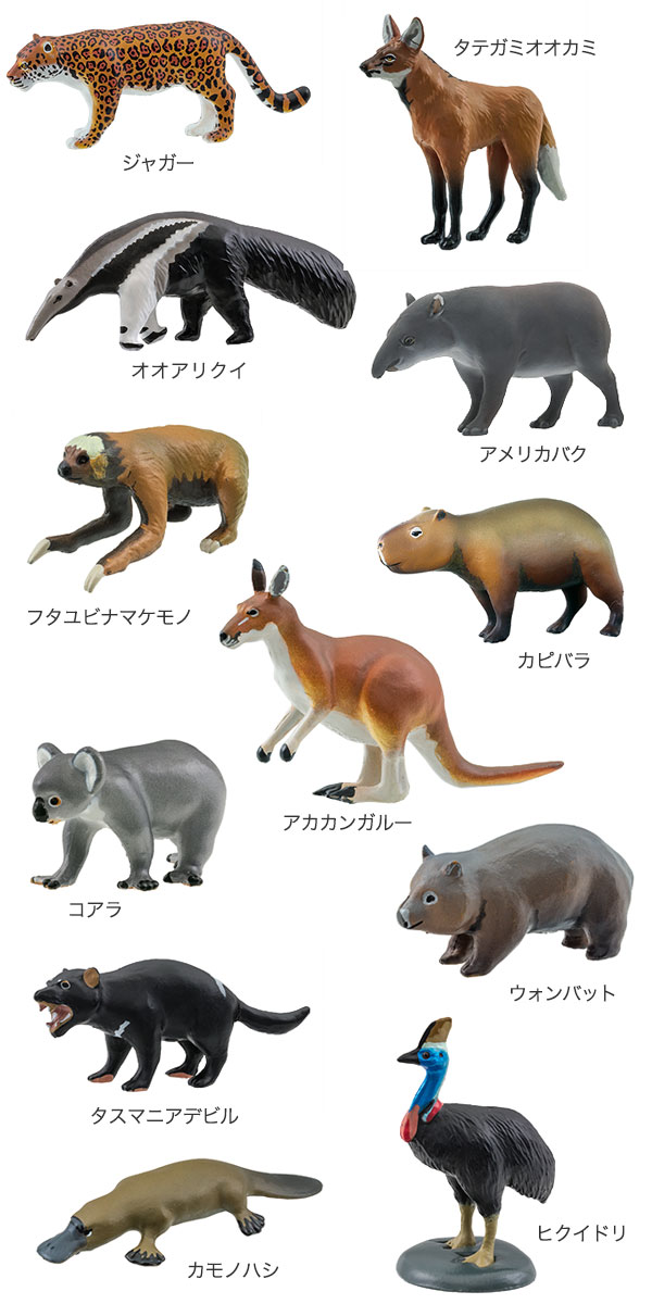 図鑑 動物 大百科 料理 いろいろ Amazon.co.jp: カロラータ 動物地理区1 立体図鑑 (エチオピア区