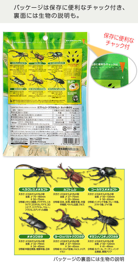 動物 生物 カブトムシ・クワガタムシ カット焼のり / カロラータ