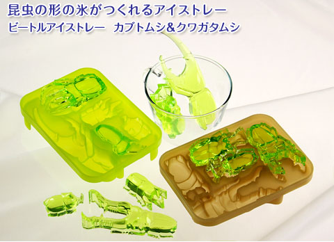 動物 生物 ビートルアイストレー カブトムシ＆クワガタムシ インセクト