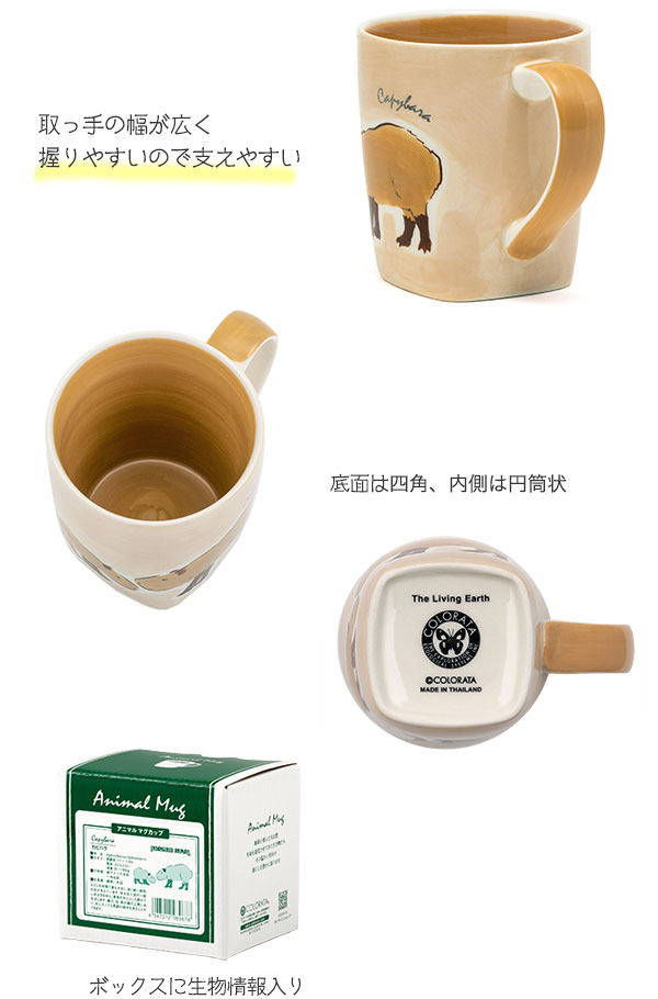 動物 生物 アニマル マグカップ カピバラ / カロラータ オンラインショップ