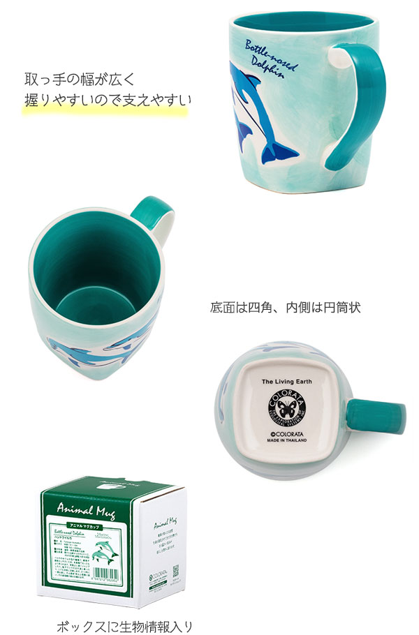 動物 生物 アニマル マグカップ ハンドウイルカ / カロラータ