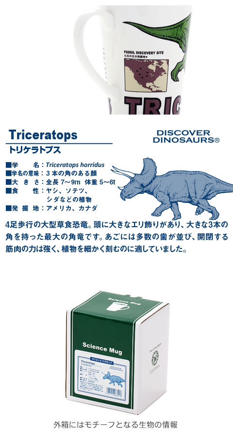 動物 生物 サイエンス マグカップ トリケラトプス / カロラータ