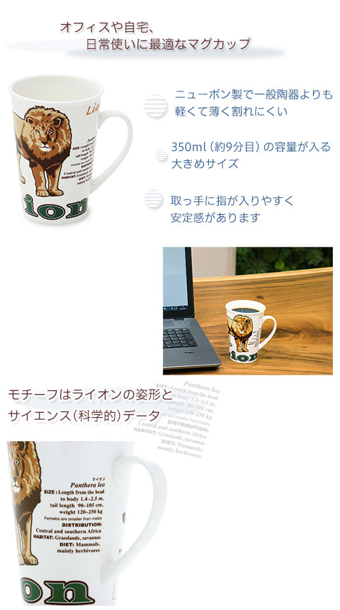 動物 生物 サイエンス マグカップ ライオン / カロラータ オンライン