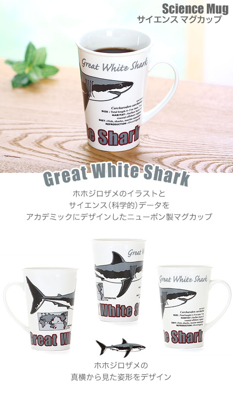 動物 生物 サイエンス マグカップ ホホジロザメ / カロラータ