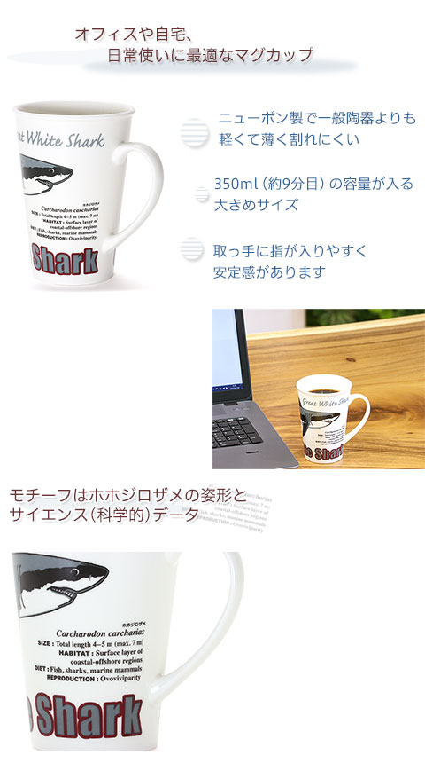 動物 生物 サイエンス マグカップ ホホジロザメ / カロラータ