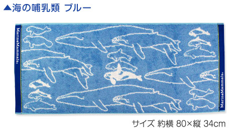 動物 生物 フェイスタオル 海の哺乳類 ブルー / カロラータ オンライン