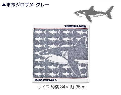 動物 生物 ウォッシュタオル ホホジロザメ グレー / カロラータ