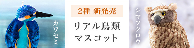 カクレクマノミ ストライプ│動物 カロラータ オンラインショップ