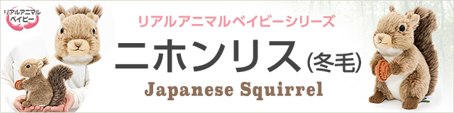 動物 生物 ぬいぐるみ おすわりシリーズ カバ / カロラータ