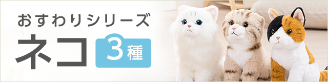 動物 生物 カラー定規15cm 北極と南極の動物（縦4cm） / カロラータ
