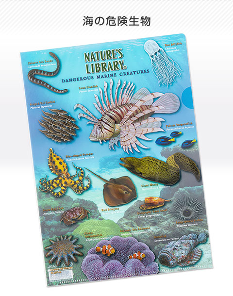 クリアケース 海の危険生物│動物 カロラータ オンラインショップ