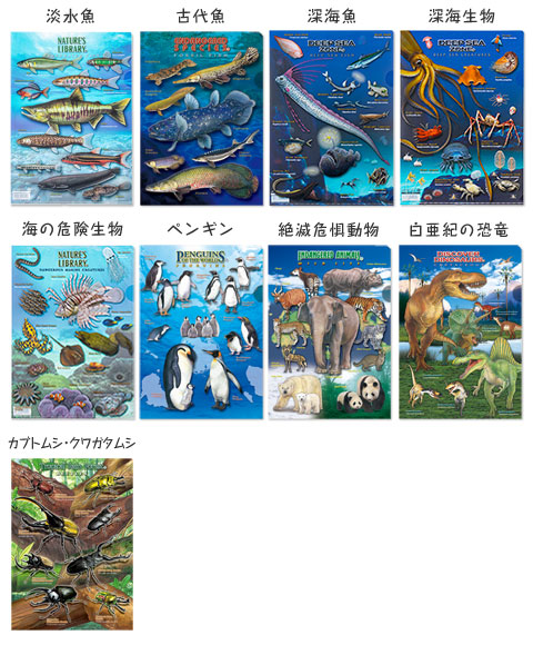 クリアケース│動物 カロラータ オンラインショップ