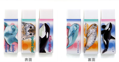 動物 生物 消しゴム3個セット ハンドウイルカ / カロラータ オンライン