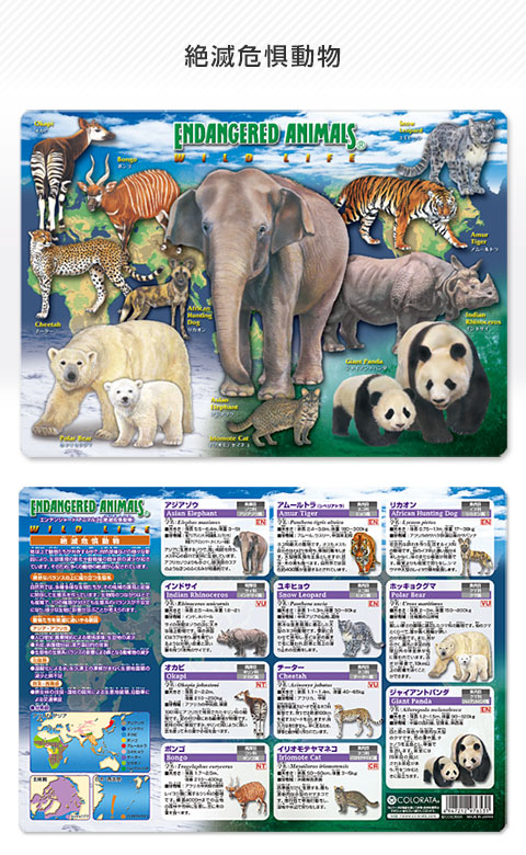 動物 生物 下敷きA4 アニマルガイドシート 絶滅危惧動物