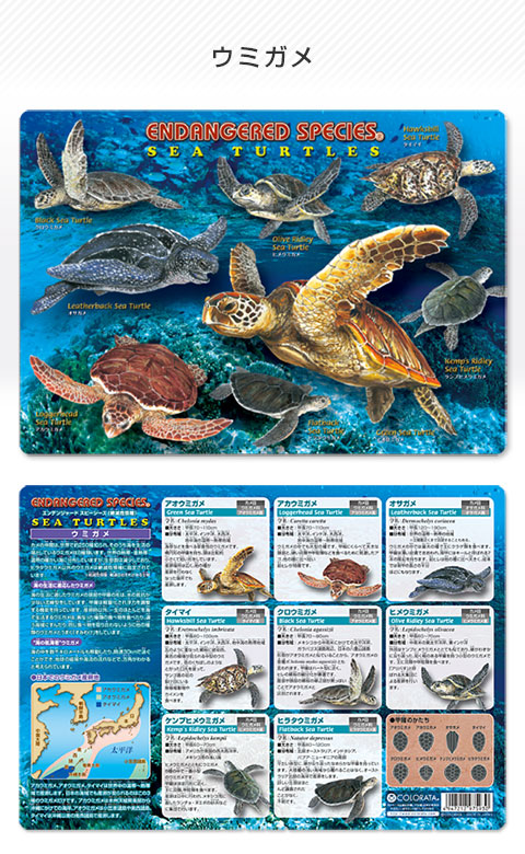 3541 外国切手 ガンビア 1995年 海の生物 小型シート 3541 外国切手 ガンビア 1995年 海の生物 小型シート 3541 外国