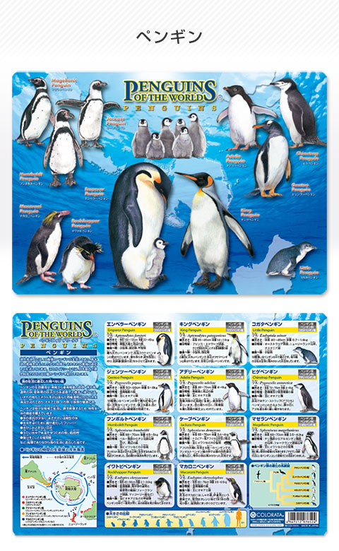 【ペンギンページ】入園入学グッズ4点 楽天市場】レッスンバッグ ペンギンの通販